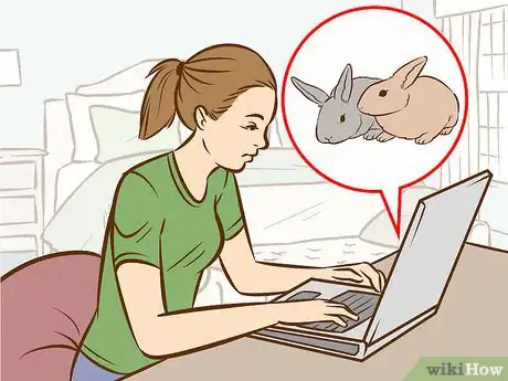 Image titled Convince Your Parents to Let You Buy a Bunny Step 1