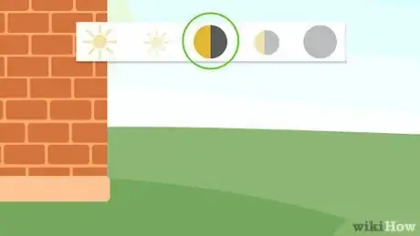 Image titled Grow Lemon Myrtle Step 4