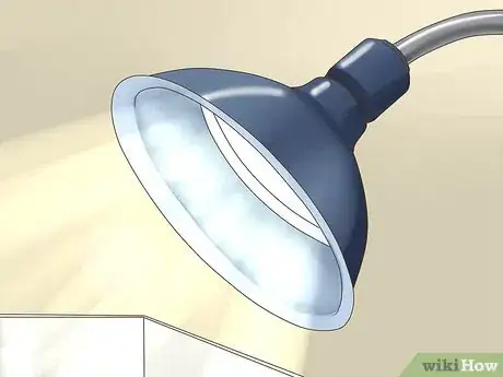 Image titled Care for Fire Belly Toads Step 3