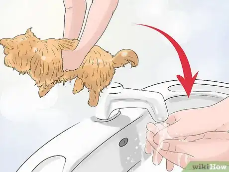 Image titled Prevent a Dog and Cat Tapeworm Infection (Dipylidium Infection) Step 8