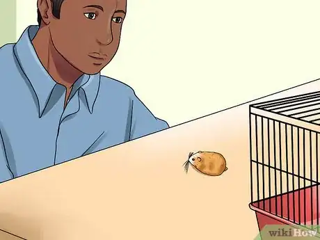 Image titled Tame an Older Hamster Step 7
