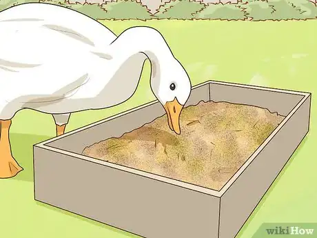 Image titled Keep Geese Step 10