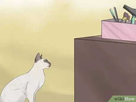 Image titled Identify a Javanese Cat Step 13