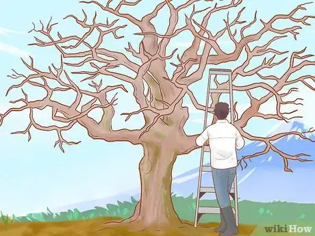 Image titled Prune Old Apple Trees Step 5