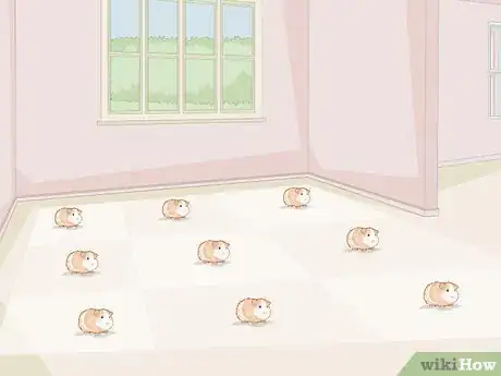 Image titled Run a Guinea Pig Rescue Step 10