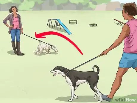 Image titled Exercise Your Dog Step 7
