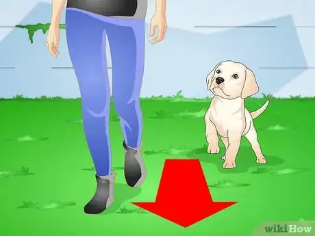 Image titled Make a Puppy Stop Digging Step 5