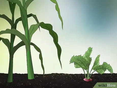 Image titled Plan a Vegetable Garden Step 6
