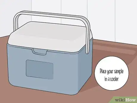 Image titled Store a Stool Sample Step 11