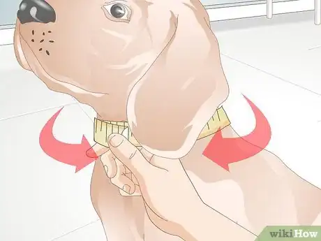Image titled Choose the Right Harness for Your Dog Step 9
