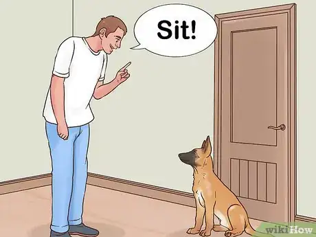 Image titled Protect Floors from Dirty Dog Paws Step 7