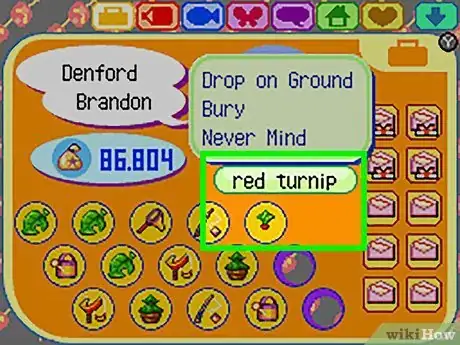 Image titled Get Red Turnips in Animal Crossing Step 7
