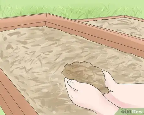 Image titled Keep Weeds Out of Your Vegetable Garden Step 5