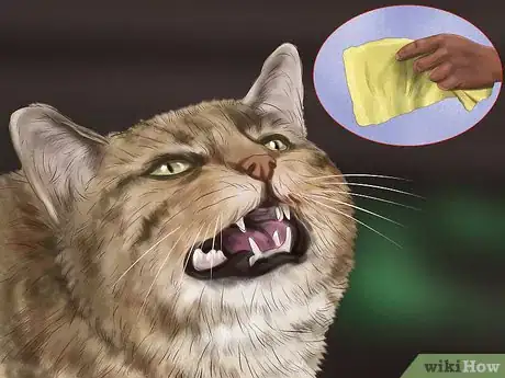 Image titled Understand Your Cat's Behavior Step 3