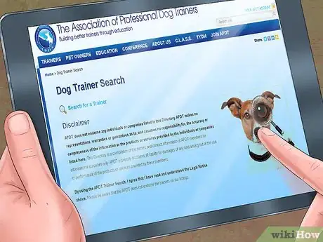 Image titled Introduce a New Dog in a Not Neutral Area Step 12