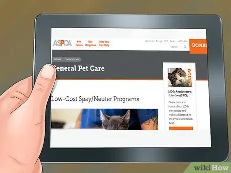Image titled Find Low‐Cost Spay or Neuter Programs for Cats Step 1