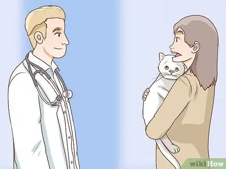 Image titled Handle Brachycephalic Airway Syndrome in Cats Step 13