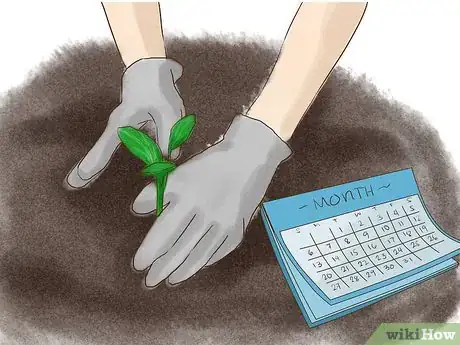 Image titled Start a Vegetable Garden Step 8