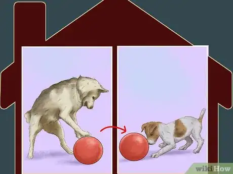 Image titled Make Your Dog Get Along With Other Dogs Step 11