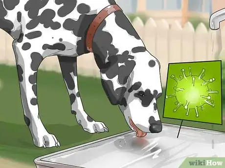 Image titled Prevent Canine Leptospirosis Step 16