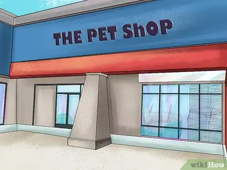 Image titled Care for a Borzoi Step 13