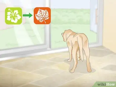 Image titled Treat Canine Tick Problems Step 20