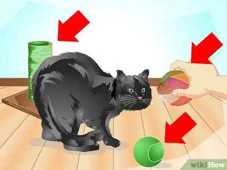 Image titled Introduce a Cat to a New Home Step 15