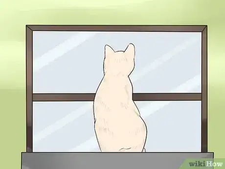 Image titled Keep a Cat Indoors Step 7