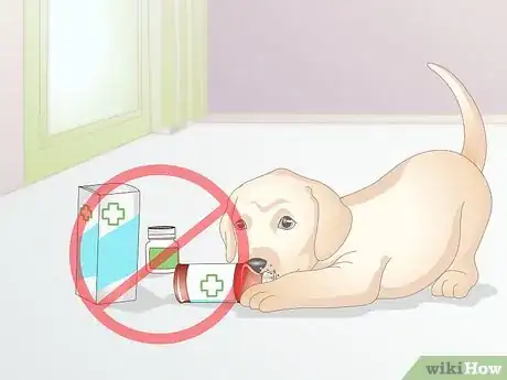 Image titled Avoid Dangerous Dog Toys Step 8
