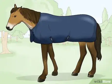 Image titled Take off a Horse Blanket Step 6