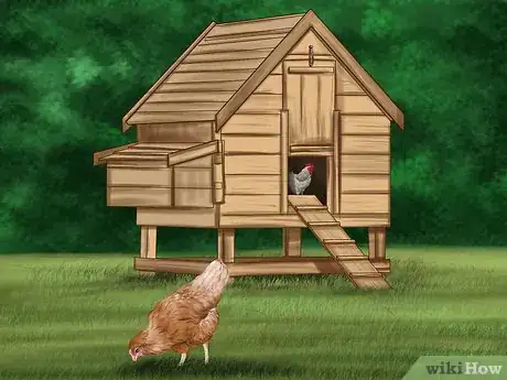 Image titled Build a Chicken Friendly Garden Step 12