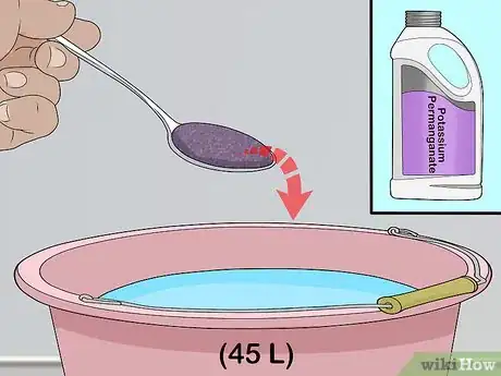 Image titled Grow Duckweed Step 12