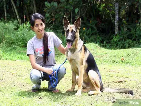 Image titled Treat Your Pets Like Royalty Step 4