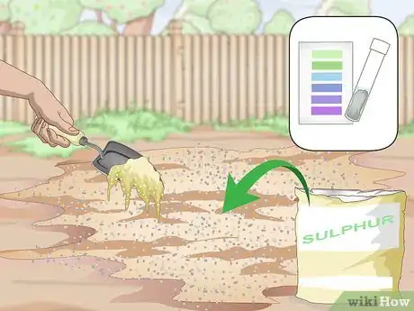 Image titled Plant Guanabana Seeds Step 6