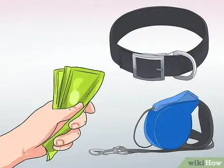 Image titled Go Boating With Your Dog Step 7