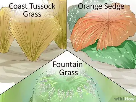 Image titled Design a Beach‐Themed Garden Step 11