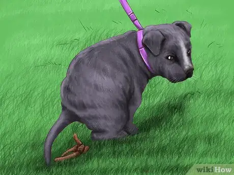 Image titled Prepare Your Small Dog for Apartment Living Step 12