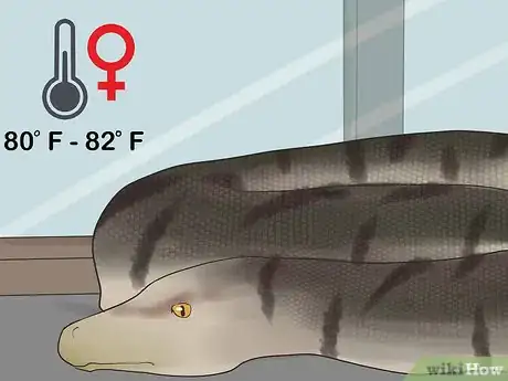 Image titled Mate Anacondas Step 4