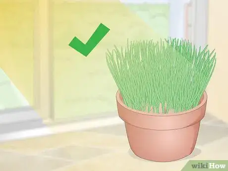 Image titled Make a Grass Pot for Cats Step 10