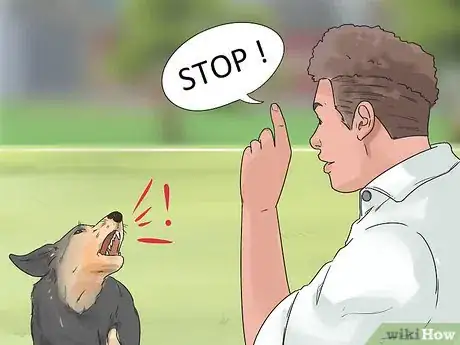 Image titled Get Along with Your Dog Step 11