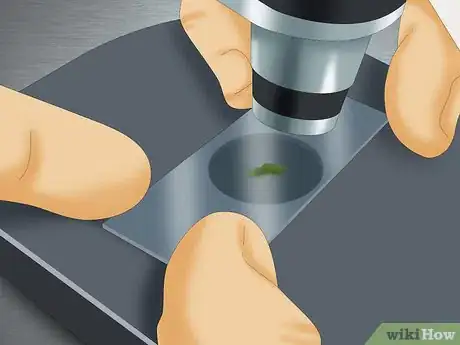 Image titled Use a Microscope to Observe Microorganisms Step 3