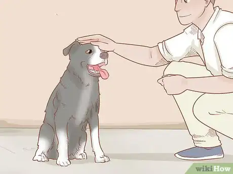Image titled Train a Therapy Dog Step 7