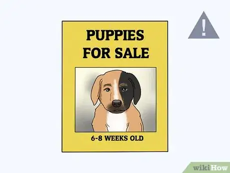 Image titled Identify a Puppy Mill Step 2