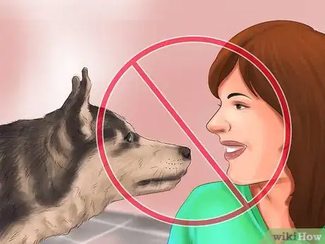 Image titled Feel Comfortable Around Big Dogs Step 2