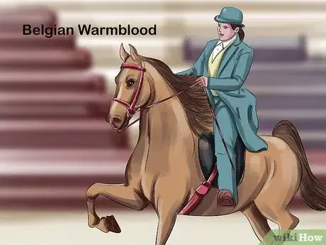Image titled Choose the Right Breed of Horse for You Step 11