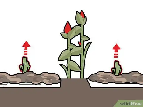 Image titled Kill Grass Invading a Flower Bed Step 4