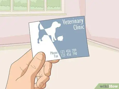 Image titled Run a Guinea Pig Rescue Step 11