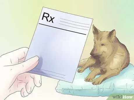 Image titled Remove Ear Mites from a Dog Step 8