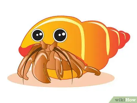 Image titled Draw a Hermit Crab Step 8