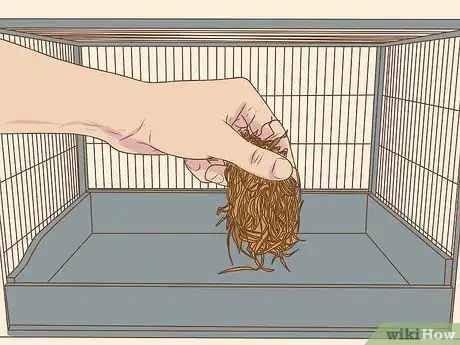 Image titled Clean a Chinchilla Cage Step 20